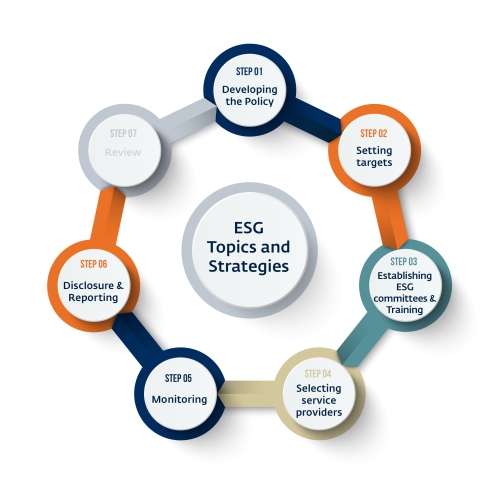 RIO Guide Graphic - Step 5 - Disclosure and Reporting
